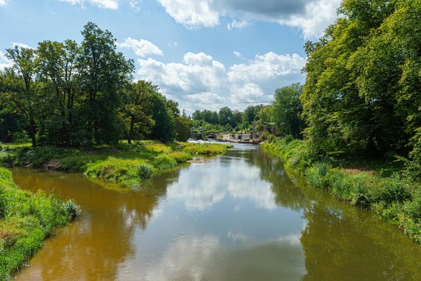 Top 7 remèdes naturels pour soulager les douleurs menstruelles