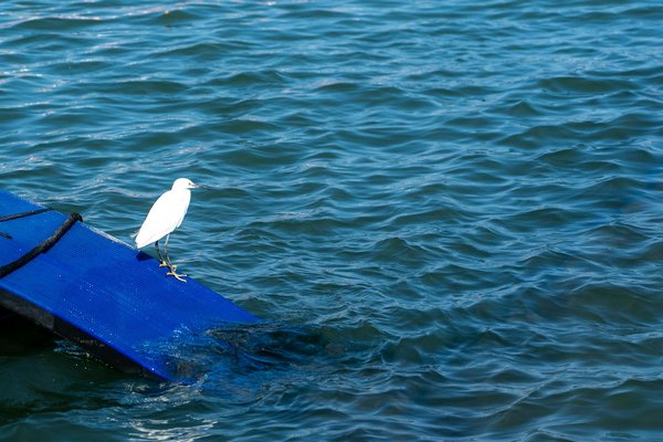 Signes avant-coureurs de maladies cardiaques : ce qu'il faut savoir